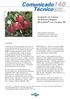 Comunicado140. Técnico. Avaliação da Cultivar de Macieira Baigent (Brookfield ) em Vacaria, RS