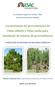 Caraterização de proveniências de Pinus elliottii e Pinus taeda para instalação de ensaios de proveniências