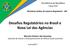 Desafios Regulatórios no Brasil e Nova Lei das Agências