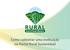 Como cadastrar uma instituição no Portal Rural Sustentável