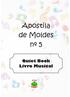 Apostila de Moldes nº 5. Quiet Book Livro Musical