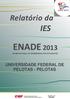 Relatório da IES ENADE 2013 EXAME NACIONAL DE DESEMPENHO DOS ESTUDANTES UNIVERSIDADE FEDERAL DE PELOTAS - PELOTAS