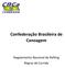 Confederação Brasileira de Canoagem. Regulamento Nacional de Rafting Regras de Corrida
