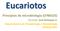 Eucariotos. Princípios de microbiologia (LFN0325) Docente: José Belasque Jr. Departamento de Fitopatologia e Nematologia (ESALQ/USP)