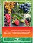 V Simpósio Nacional do Morango IV Encontro Sobre Pequenas frutas e Frutas Nativas do Mercosul
