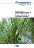 Documentos. Perspectivas de Melhoramento de Pinus sp. no Cerrado Brasileiro e Esquema Conduzido em Cooperativa dos EUA