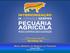 Novos Modelos de Negócio na Pecuária. Francisco Vila Sociedade Rural Brasileira