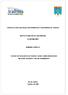 CURSO DE ESPECIALIZAÇÃO EM TRANSPORTE FERROVIÁRIO DE CARGAS INSTITUTO MILITAR DE ENGENHARIA ACADEMIA MRS ARMANDO SISDELLI