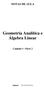 Geometria Analítica e Álgebra Linear