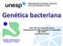 Genética bacteriana. Prof. Adj. Ary Fernandes Junior Departamento de Microbiologia e Imunologia IBB/UNESP