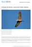 Avifauna da Devesa Garça-real (Ardea cinerea)