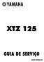 XTZ 125 GUIA DE SERVIÇO RM00-PO