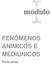 módulo FENÔMENOS ANÍMICOS E MEDIÚNICOS Parte única