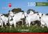 17 DE SETEMBRO DOMINGO 13H30 Transmissão Canal Rural. NOVILHOTAS MULTIQUALIFICADAS prontas para entrar na próxima estação de monta.