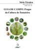 GUIA DE CAMPO: Pragas da Cultura do Tomateiro