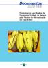ISSN Novembro, Procedimento para Análise de Compostos Voláteis de Banana pela Técnica de Microextração em Fase Sólida