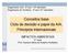 Conceitos base Ciclo de decisão e papel da AIA. Princípios internacionais