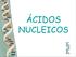 ÁCIDOS NUCLEICOS. Existem dois tipos de ácidos nucleicos: - Ácido desoxirribonucleico (DNA) - Ácido ribonucleico (RNA)