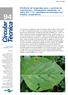 Eficiência de fungicidas para o controle da mancha-alvo, Corynespora cassiicola, na safra 2011/12: resultados sumarizados dos ensaios cooperativos