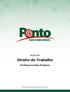 Direito do Trabalho AULA 00. Professora Elisa Pinheiro.  Direito do Trabalho