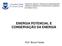 ENERGIA POTENCIAL E CONSERVAÇÃO DA ENERGIA