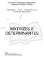 MATRIZES E DETERMINANTES