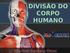 DIVISÃO DO CORPO HUMANO. Ilberlom Santana Otoni