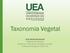 Taxonomia Vegetal. Iane Barroncas Gomes Engenheira Florestal Mestre em Ciências de Florestas Tropicais Professora Assistente CESIT-UEA