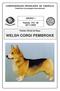 WELSH CORGI PEMBROKE