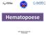 Hematopoese. Prof a. Marta G. Amaral, Dra. Histofisiologia