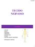 TECIDO NERVOSO. Funções. Sensorial; Motora; Reprodução; Alimentação; Interação social; Emoções; Raciocínio, memória e aprendizado;