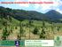 Adequação Ambiental e Restauração Florestal. Pedro H. S. Brancalion Laboratório de Silvicultura Tropical (LASTROP/ESALQ/USP)