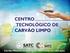 AVALIAÇÃO TECNOLÓGICA PARA EMPREGO DO CARVÃO DA CAMADA BONITO NA GERAÇÃO TERMELÉTRICA E APROVEITAMENTO ATRAVÉS DE TECNOLOGIAS LIMPAS