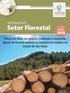 Setor Florestal MARÇO 2018