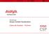 Americas Avaya Content Syndication. Casos de Sucesso - Partners