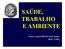 SAÚDE, TRABALHO E AMBIENTE. Profa. Carmen Ildes R. Fróes Asmus IESC / UFRJ