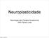 Neuroplasticidade. Neurologia para Terapia Ocupacional João Pereira Leite. sábado, 11 de abril de 15