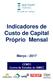 Indicadores de Custo de Capital Próprio Mensal