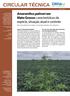CIRCULAR TÉCNICA. Amaranthus palmeri em Mato Grosso: características da espécie, situação atual e controle