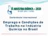 Conferência Internacional. Emprego e Condições de Trabalho na Indústria Química no Brasil