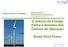 O avanço da Energia Eólica e desafios dos Centros de Operação. Brasil Wind Power FORÇA EÓLICA DO BRASIL
