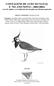 CONTAGENS DE AVES NO NATAL E NO ANO NOVO 2001/2002: aves de rapina e aves limícolas invernantes em sistemas agrícolas