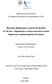 Recursos digitais para o ensino da Química no 10º ano Hipertextos e outros recursos no tema Espectros e modelo quântico do átomo