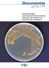 ISSN Dezembro, Caracterização morfocultural de bactérias isoladas de nódulos de espécies de Crotalária