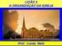 LIÇÃO 3 A ORGANIZAÇÃO DA IGREJA. Prof. Lucas Neto