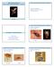 Insetos e Ácaros de Importância Médica e Veterinária. BAN 160 Entomologia Geral Insetos e Ácaros de Importância Médica e Veterinária.