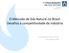 O Mercado de Gás Natural no Brasil: Desafios à competitividade da indústria