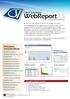 CSI IT Solutions. WebReport2.5. Relatórios abertos. Informações detalhadas dos jobs!
