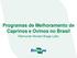 Programas de Melhoramento de Caprinos e Ovinos no Brasil. Raimundo Nonato Braga Lobo