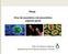 Vírus: Vírus de eucariotos e de procariotos: aspectos gerais